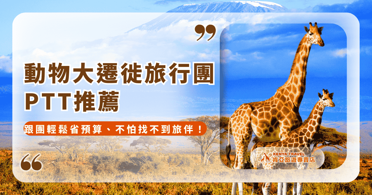文字為「動物大遷徙旅行團ptt 跟團輕鬆省預算、不怕找不到旅伴！」照片為長頸鹿、背景為草原