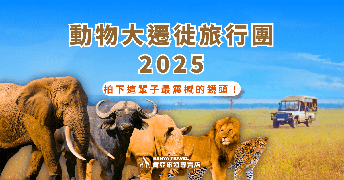 動物大遷徙宣傳圖，畫面中有非洲五霸與越野車，強調2025年行程亮點「拍下最震撼的鏡頭」。
